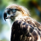 Image for article titled These Are The World's Weirdest Birds